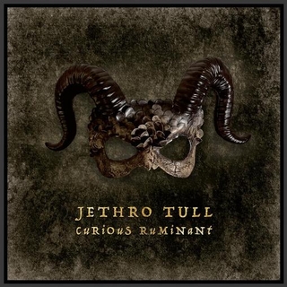 JETHRO TULL - Curious Ruminant