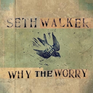 SETH WALKER - Why The Worry [lp]