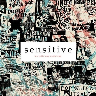 VARIOUS ARTISTS - Sensitive: An Indie Pop Anthology / Various