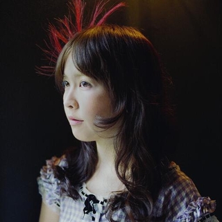 SHIONE YUKAWA - Gingham Check Bird / Don't Blow The Wind