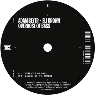ADAM & ELI BROWN BEYER - Overdose Of Bass