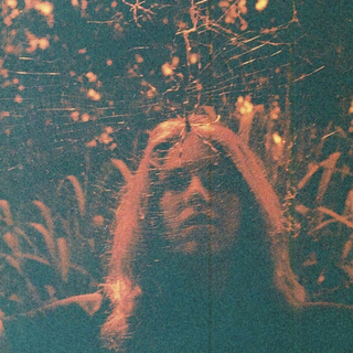 TURNOVER - Peripheral Vision (10 Year Anniversary) (Indie Exclusive-blue Marble)