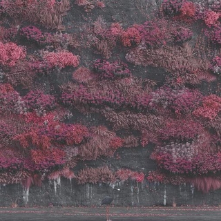 SLEEP TOKEN - Even In Arcadia