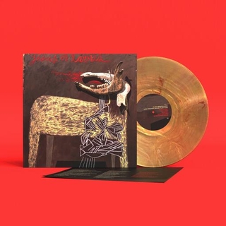 ALAN SPARHAWK - With Trampled By Turtles - Sunflare