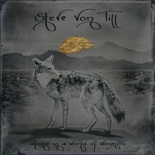 STEVE VON TILL - Alone In A World Of Wounds