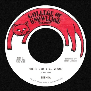 BRENDA - Where Did I Go Wrong? / Family