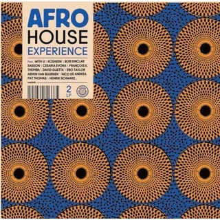 VARIOUS ARTISTS - Afro House Experience / Various