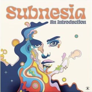 SUBNESIA - An Introduction (Vinyl)