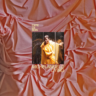 CATE LE BON - Michelangelo Dying (Black Vinyl)