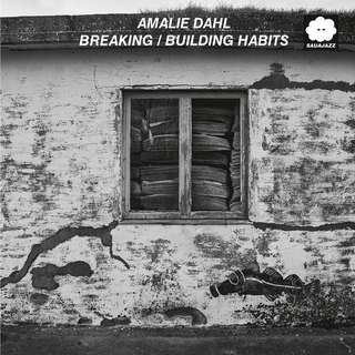 AMALIE DAHL - Breaking/building Habits (Live)