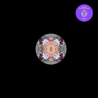 DRAGONGIRL - Hot Blue (The Remixes)