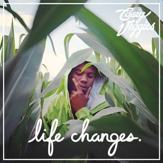 CASEY VEGGIES - Life Changes