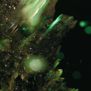 ABRAHAM - Idsungwussa