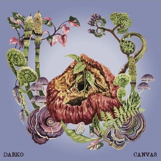 DARKO - Canvas (Eco Pink/purple Mix Vinyl)