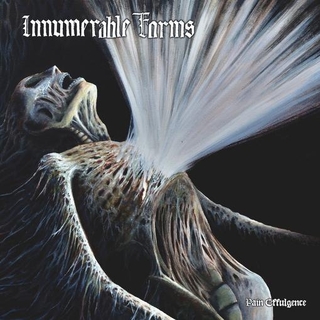 INNUMERABLE FORMS - Pain Effulgence