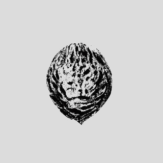 BLACK LIPS - Bebop Armageddon (Detours &amp; Offcuts From Season Of The Peach)