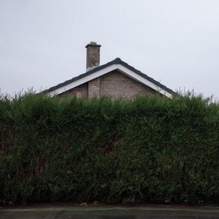 1975 - Still... At Their Very Best: Live From The Ao Arena, Manchester, 17.02.24 (Limited White Vinyl)