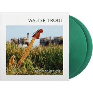 WALTER TROUT - Common Ground