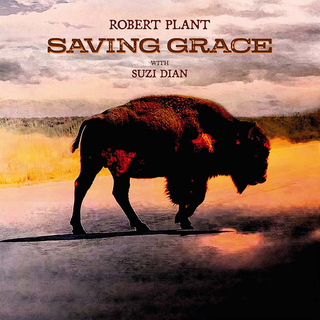 ROBERT PLANT - Saving Grace [lp] (Fruit Punch Vinyl, Limited, Indie-retail Exclusive)