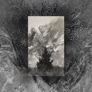 SUPERPOZE - Siecle (Vinyl)