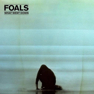 FOALS - What Went Down (10th Anniversary)