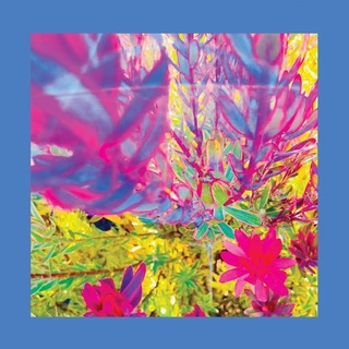 THE REDS PINKS AND PURPLES - Past Is A Garden I Never Fed, The (Limited Sky Blue Coloured Vinyl)