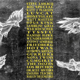 VARIOUS ARTISTS - A Hideous Collective (Limited Clear Vinyl)