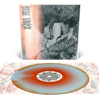 AUTHOR & PUNISHER - Nocturnal Birding (Custom Merge Vinyl)