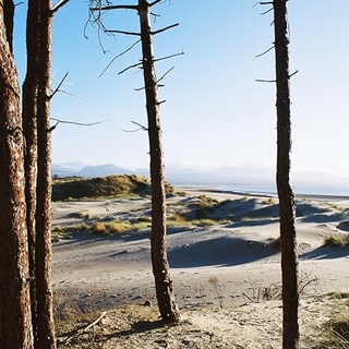 GETDOWN SERVICES - Your Medals In The Post / Primordial Slot Machine (Vinyl)