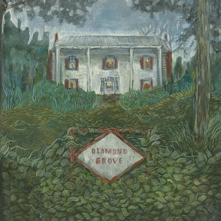 WEIRS - Diamond Grove