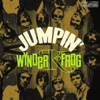 WYNDER K FROG - Jumpin