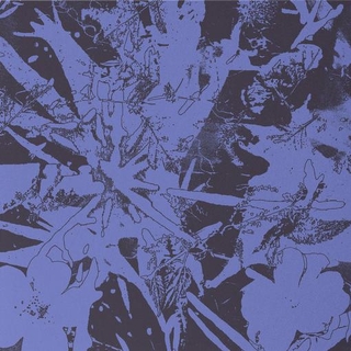 PLANTS HEAL - Forest Dwellers (Vinyl)