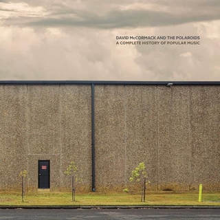 DAVID MCCORMACK AND THE POLAROIDS - A Complete History Of Popular Music (Red Recycled Vinyl)