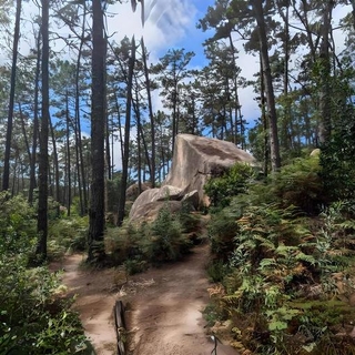 PARAJEKT - Parajekt (Vinyl)