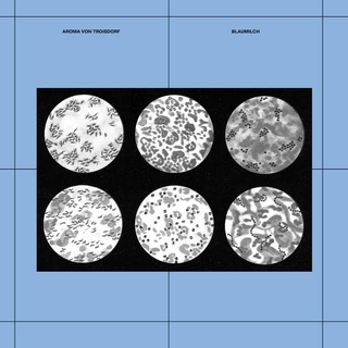 AROMA VON TROISDORF - Blaumilch