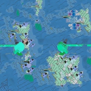 VARIOUS ARTISTS - Acid Sampler Part Two