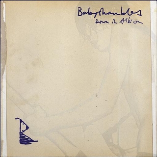 BABYSHAMBLES - Down In Albion (20th Anniversary Edition)