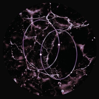 LEN.LEO - Echolocation