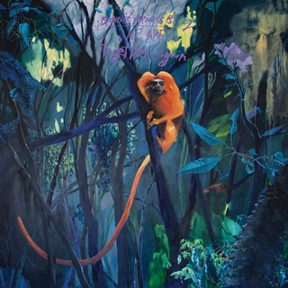 BONNIE 'PRINCE' BILLY - We Are Together Again [lp]