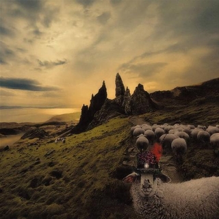 FRANCK CARDUCCI - Sheeple