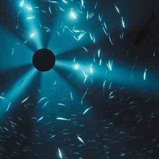 LAUREL HALO - Midnight Zone (Film By Julian Charriere) - O.S.T.