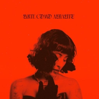 INDIRA PAGANOTTO - Arte Como Amante (Vinyl)