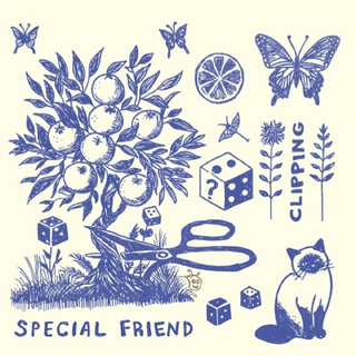 SPECIAL FRIEND - Clipping (Vinyl)