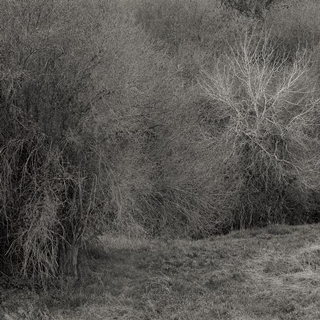 K LEIMER - Atrophies For Piano